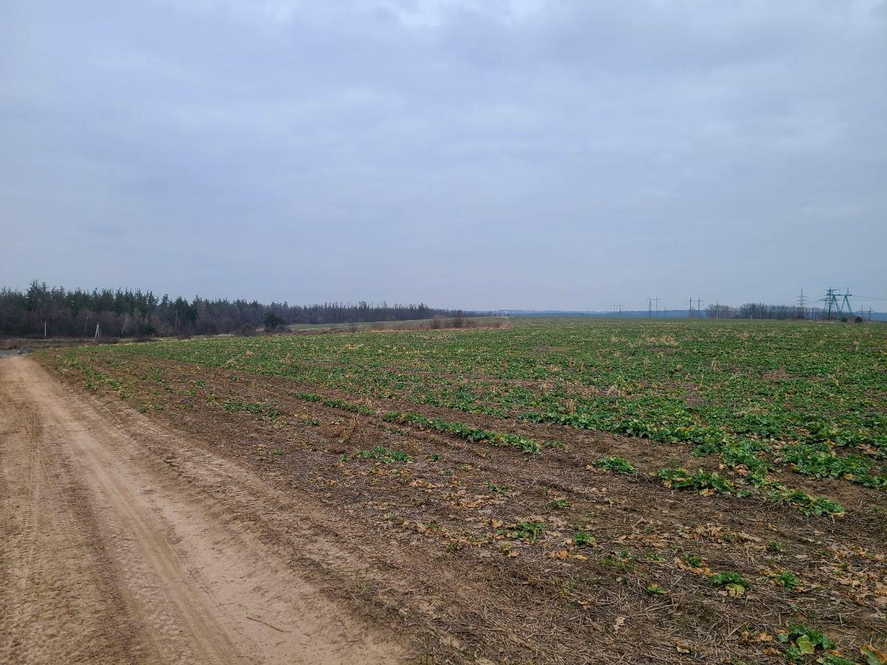 1865084216873102