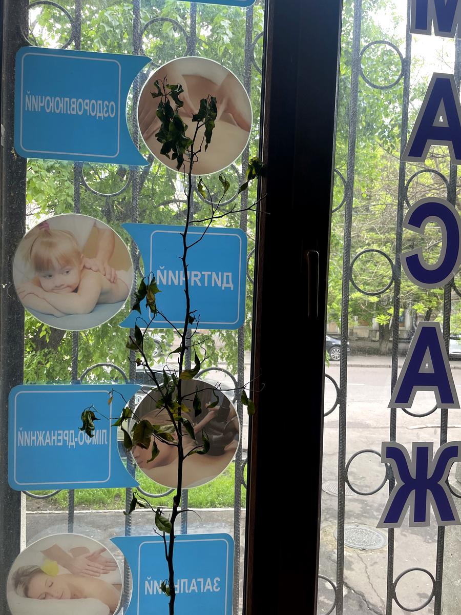 Коммерческая недвижимость по адресу ул. Пастера (площадь 166 м²) - imageAlt 12 Коммерческая недвижимость по адресу ул. Пастера (площадь 166 м²) - Atlanta.ua - imageAlt 12