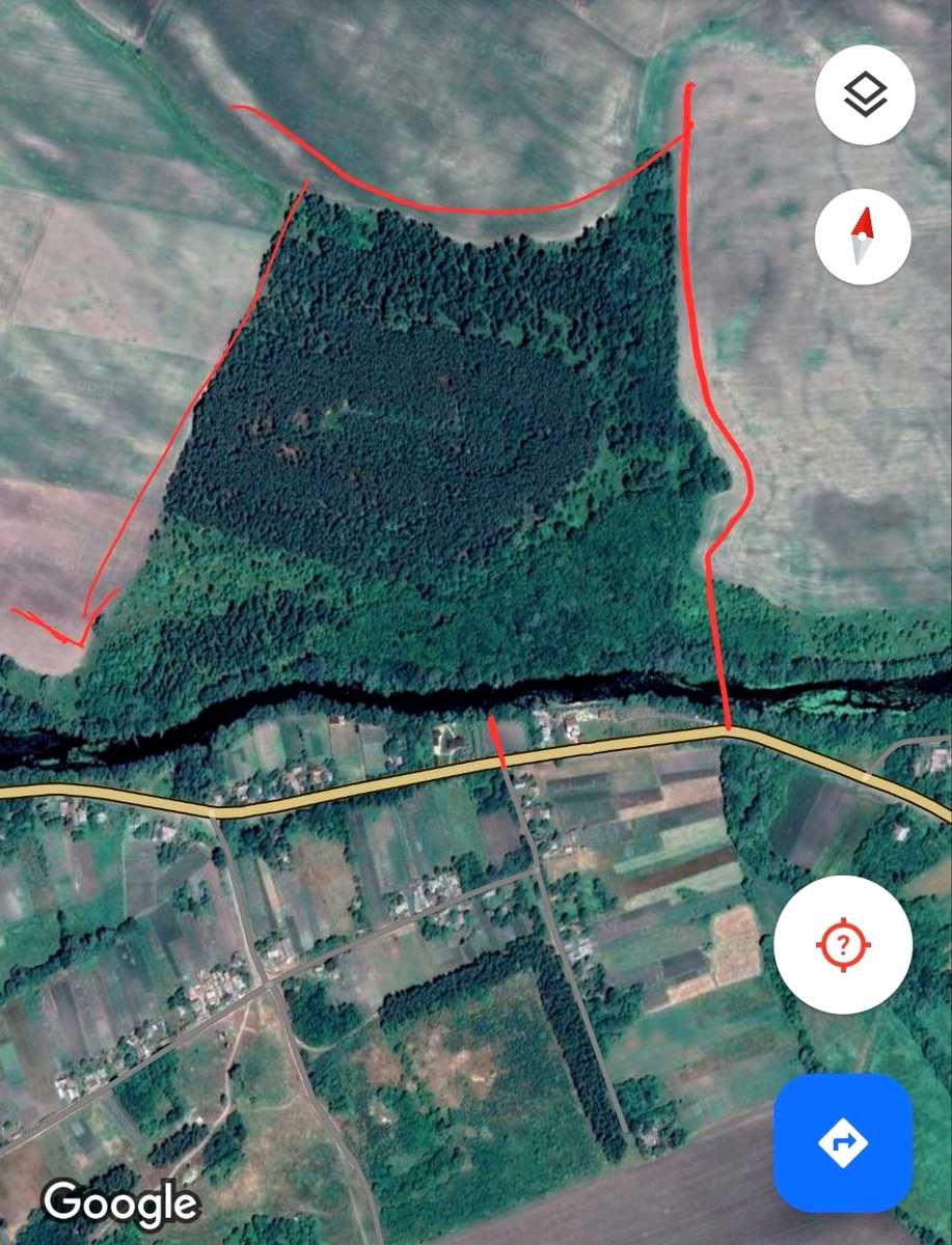 1865190290335166