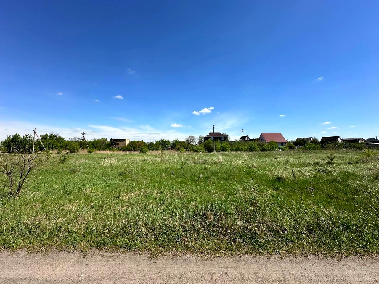 1865235877151653