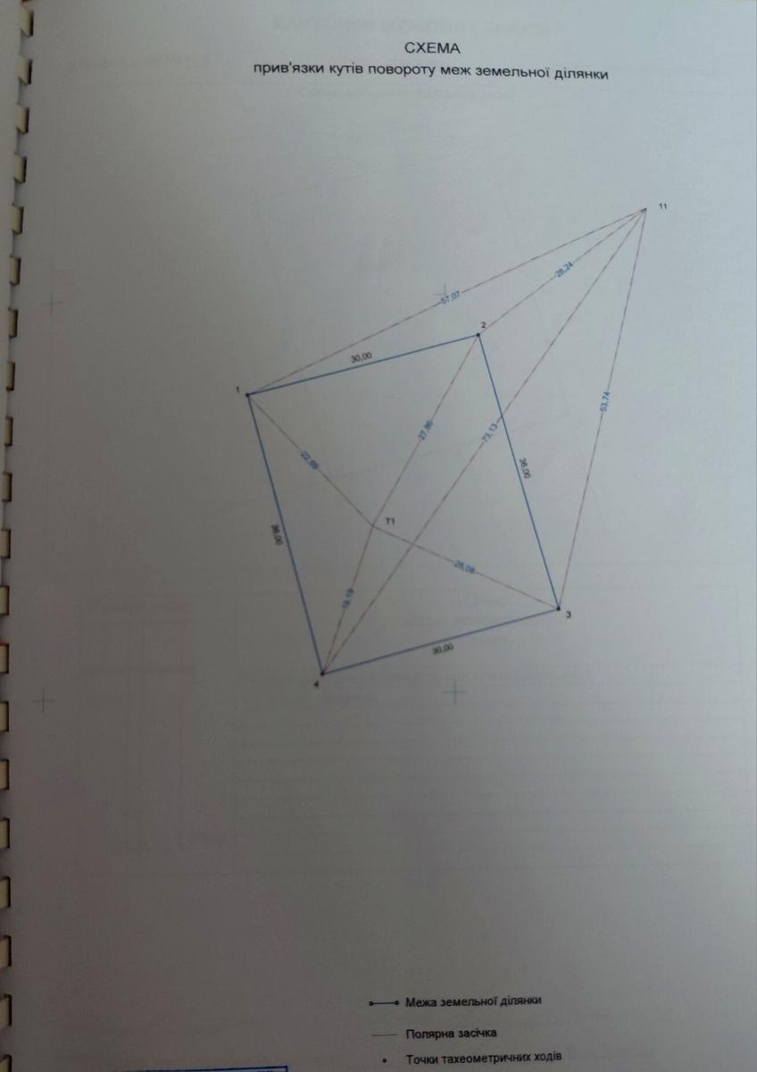 1865246473431011.jpg