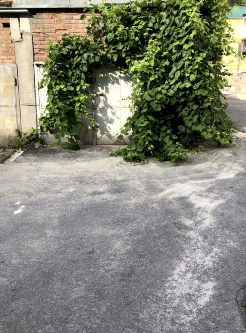 1865247090720620