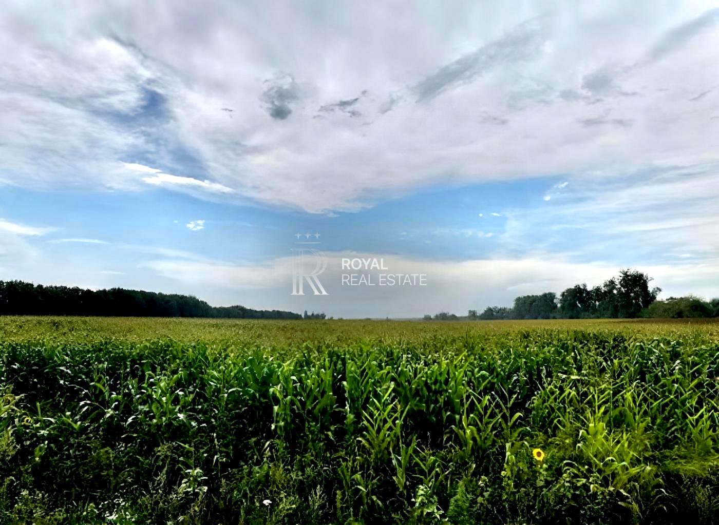 1865248076263565