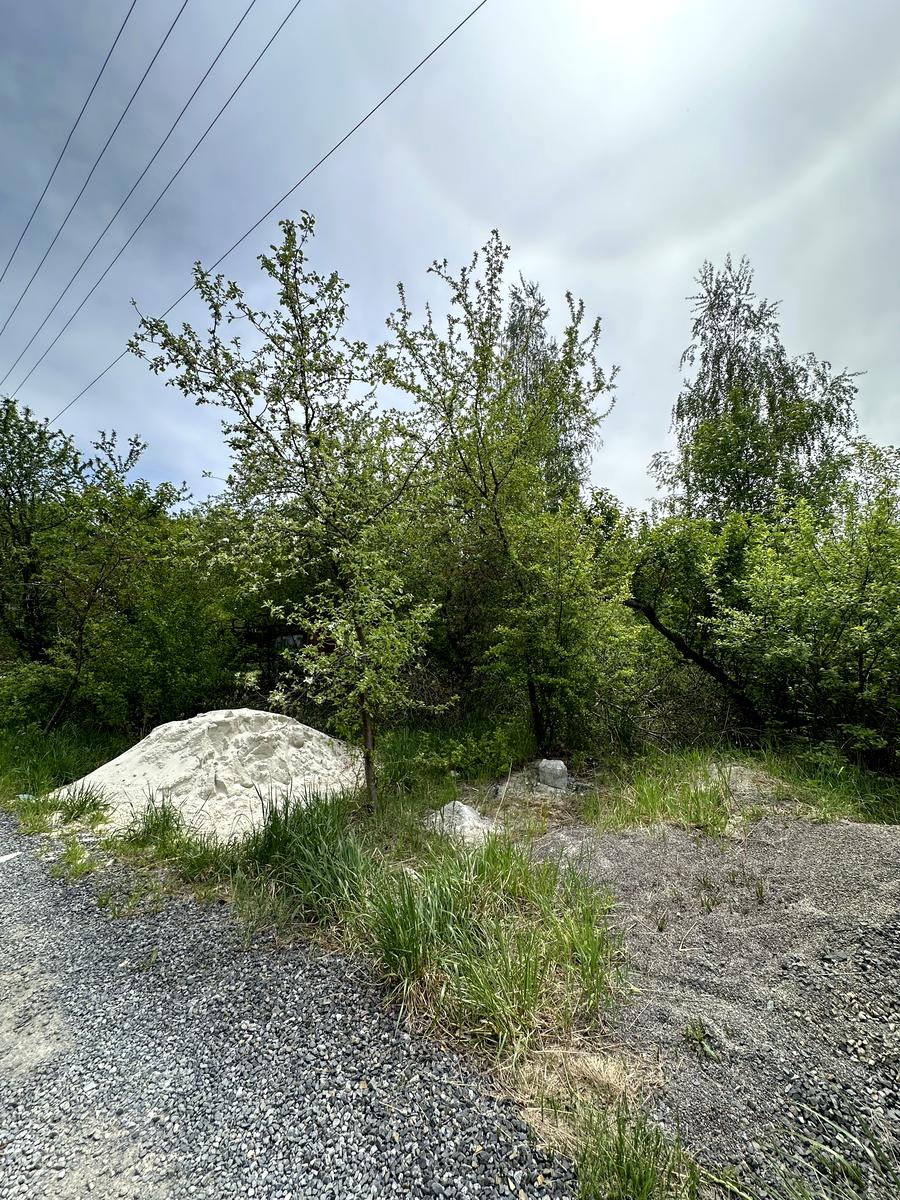 1865271938646292
