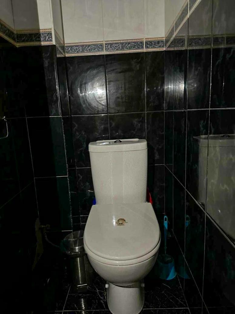 1865274116866112