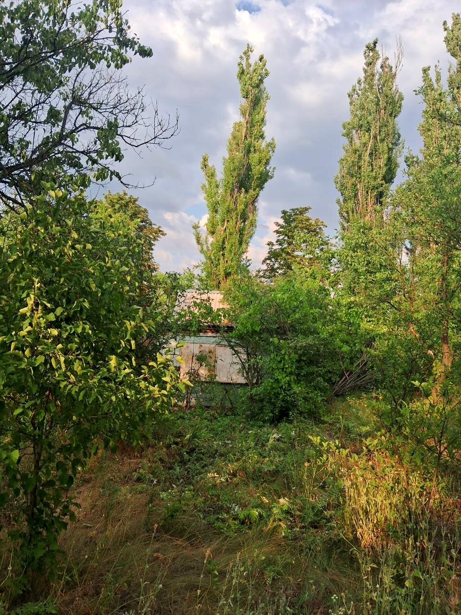 1865277555146060