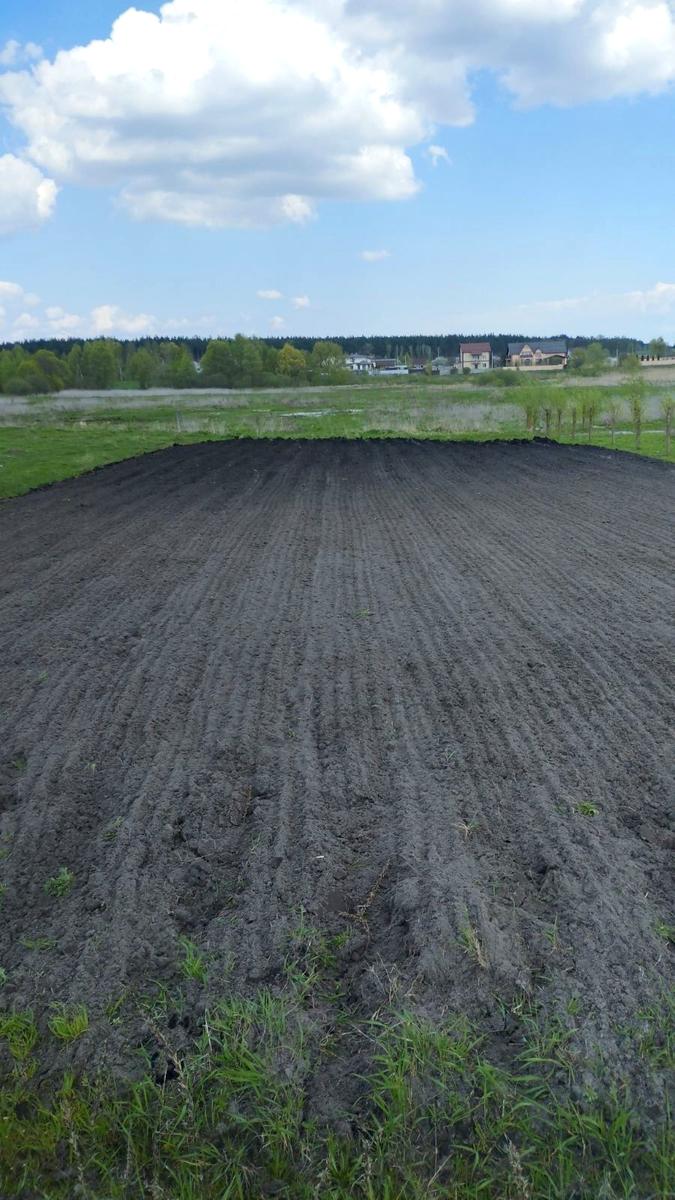 1865344270804445