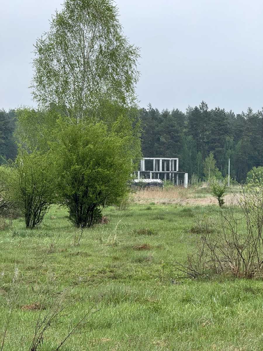 1865432807061746