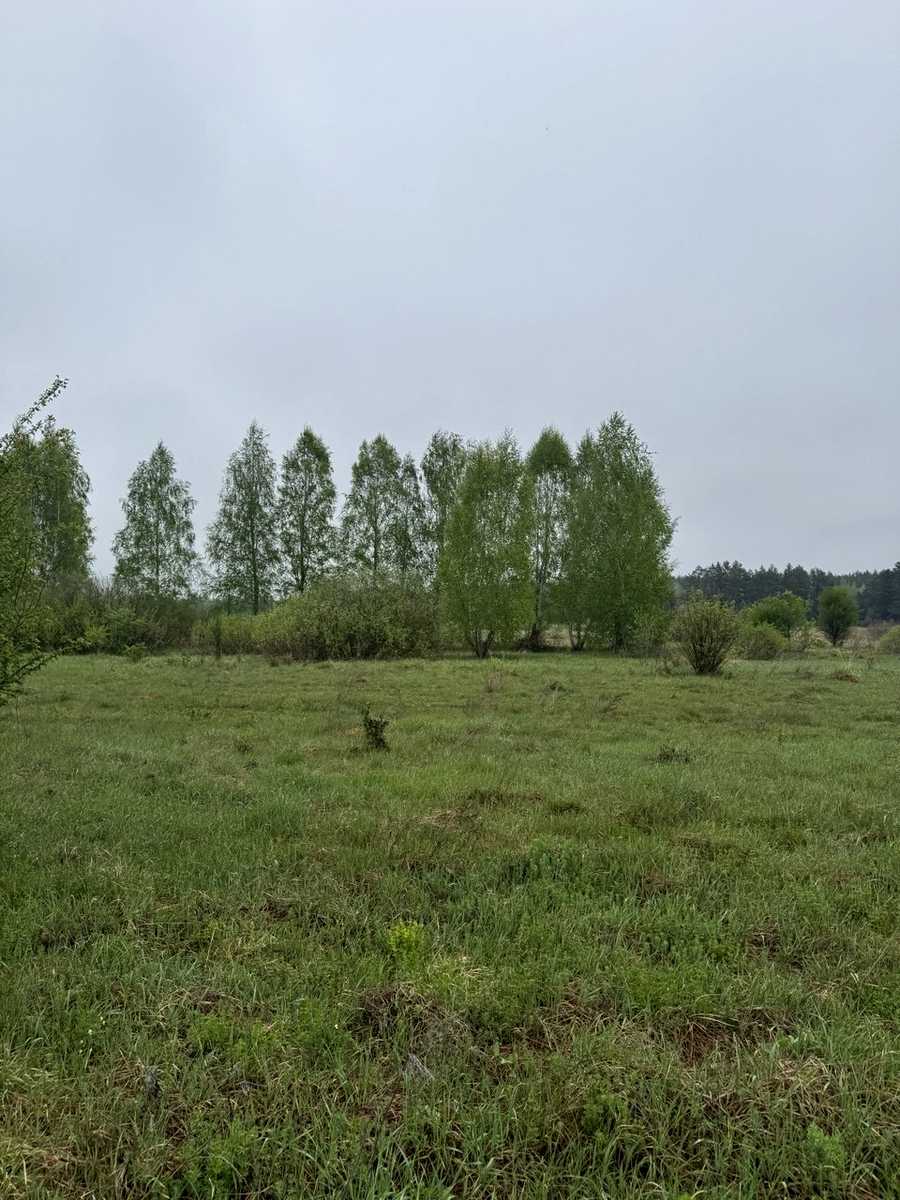 1865432807756326