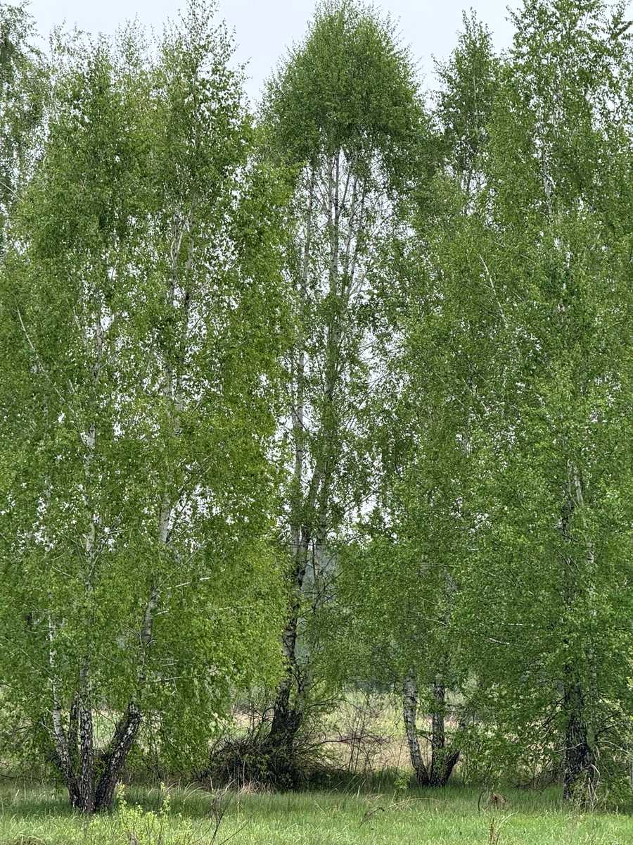 1865432807822296