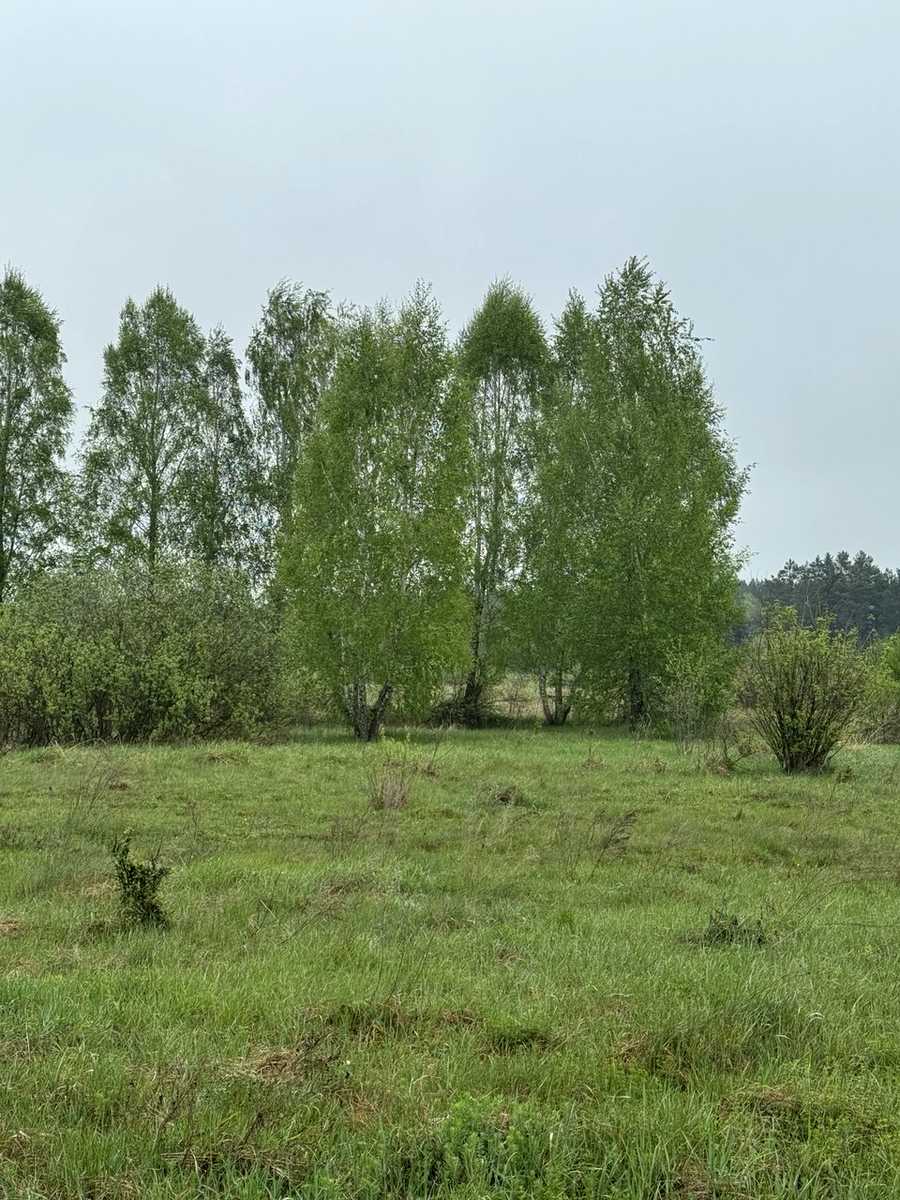 1865432807941244