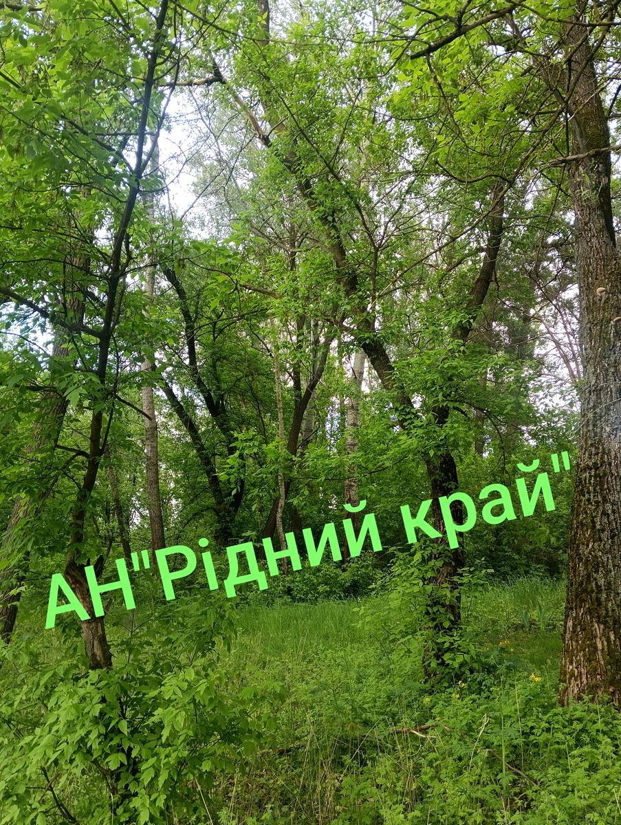 1865450840333302