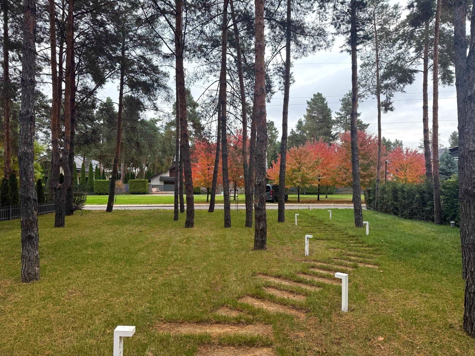 1865634801196521