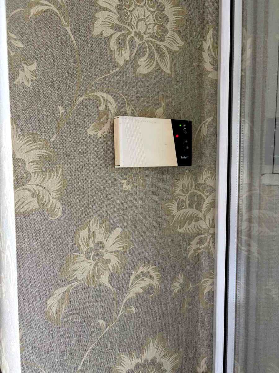 1865701078641920.jpg