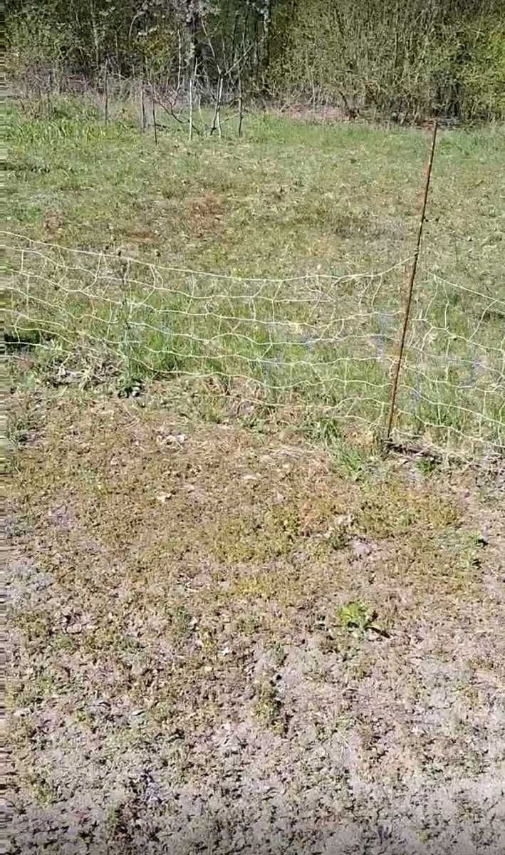 1865707448145449