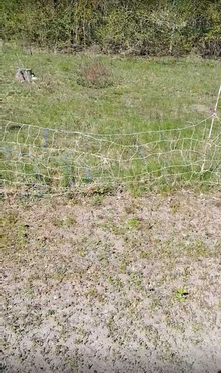 1865707449284248
