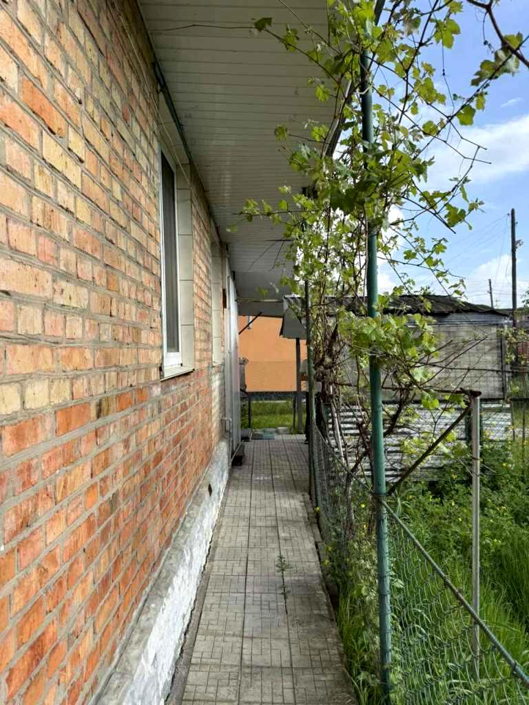 1865710509812031