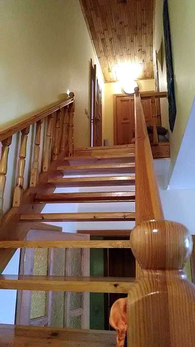 1865778437491292