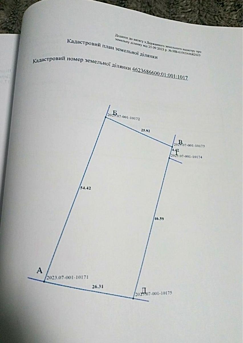 1865808034072959.jpg