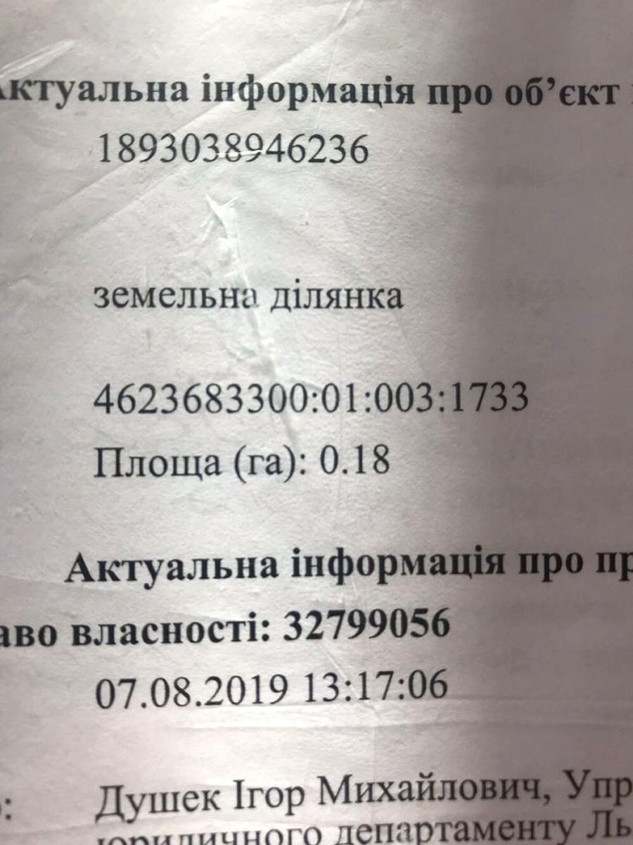 1865808498547384.jpg