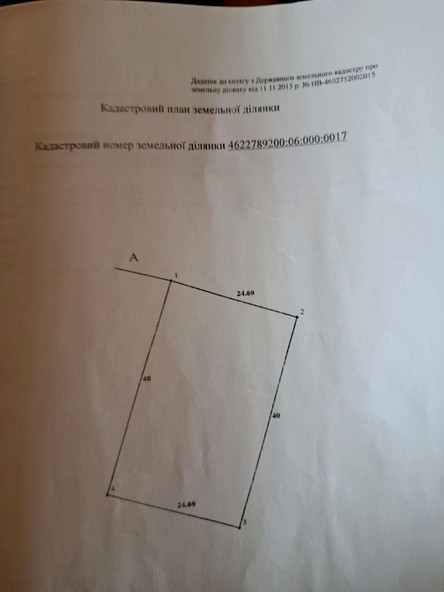 1865808624159029.jpg