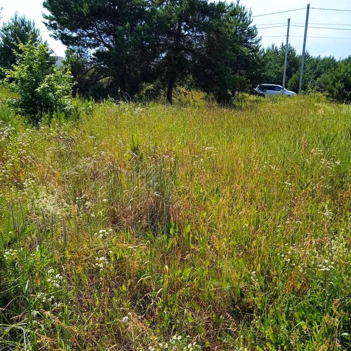 1865895379087185.jpg