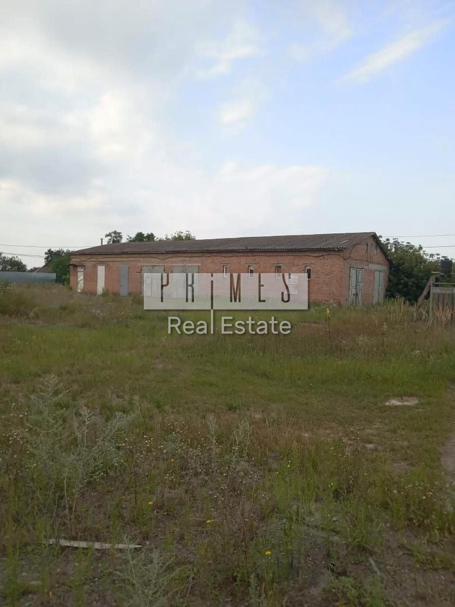 1865896349324976