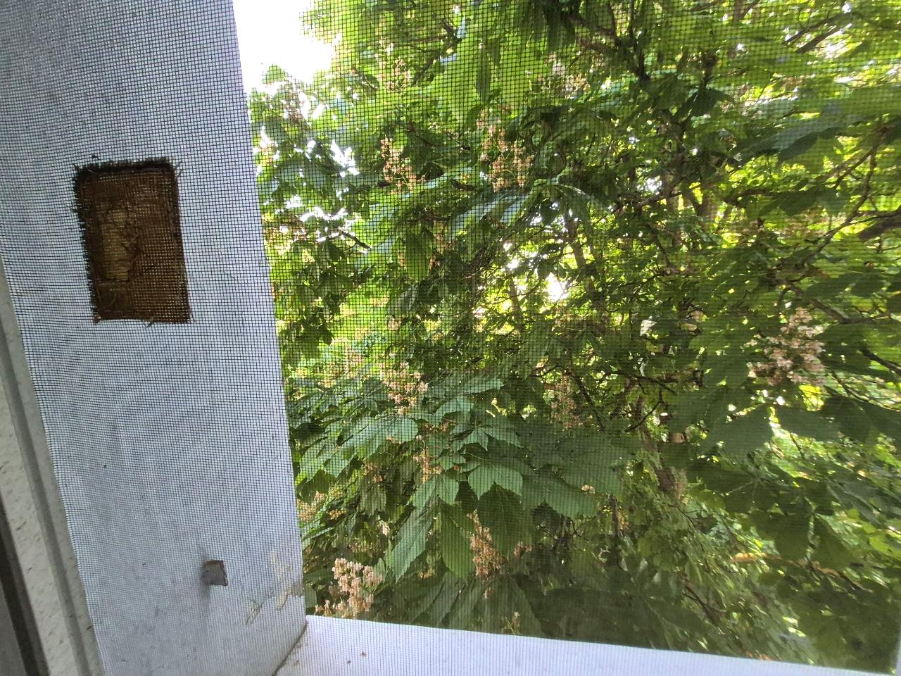 1865923193294379