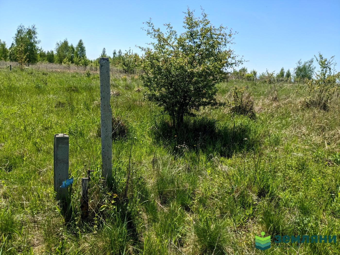 1865955975368587