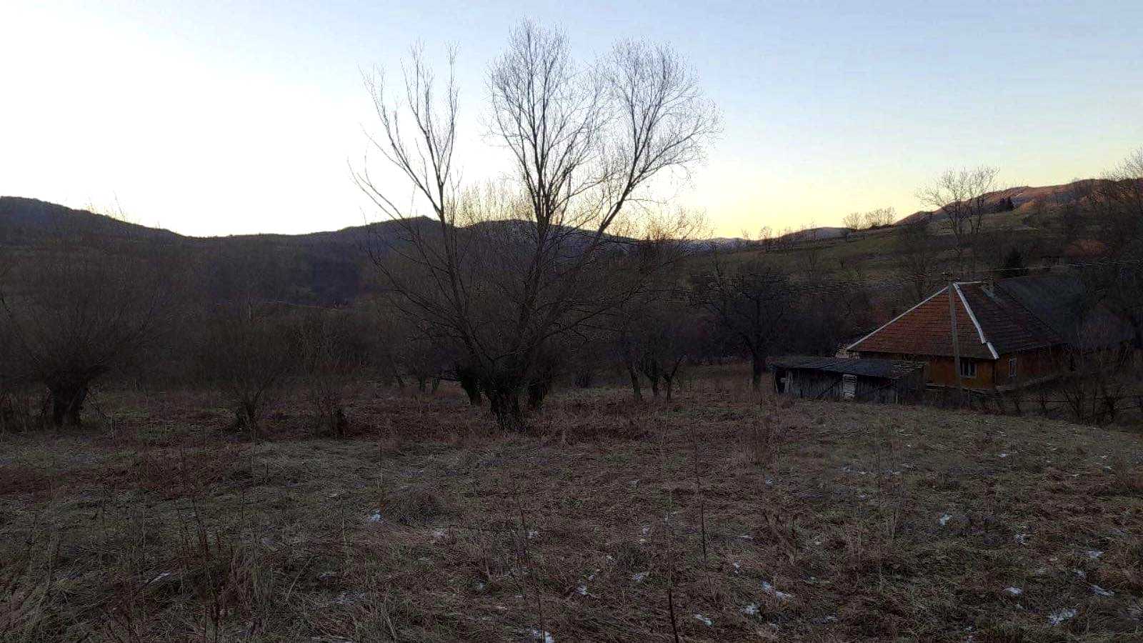 1865961344016169
