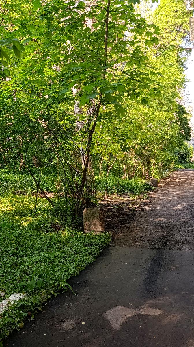 2-кімнатна квартира за адресою Ботанічний пров. (площа 43 м²) - фото 2 2-кімнатна квартира за адресою Ботанічний пров. (площа 43 м²) - Atlanta.ua - фото 2