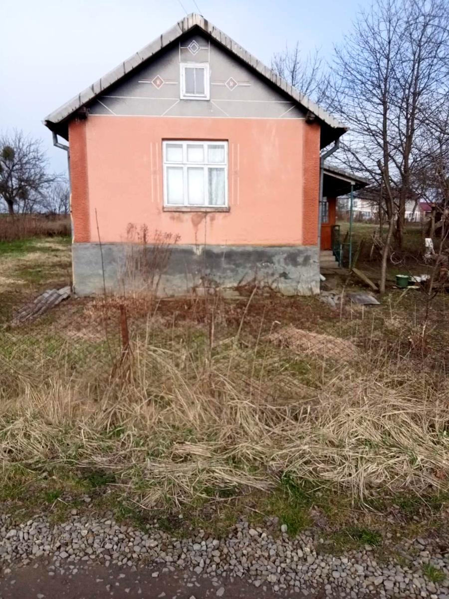 1865973292119519