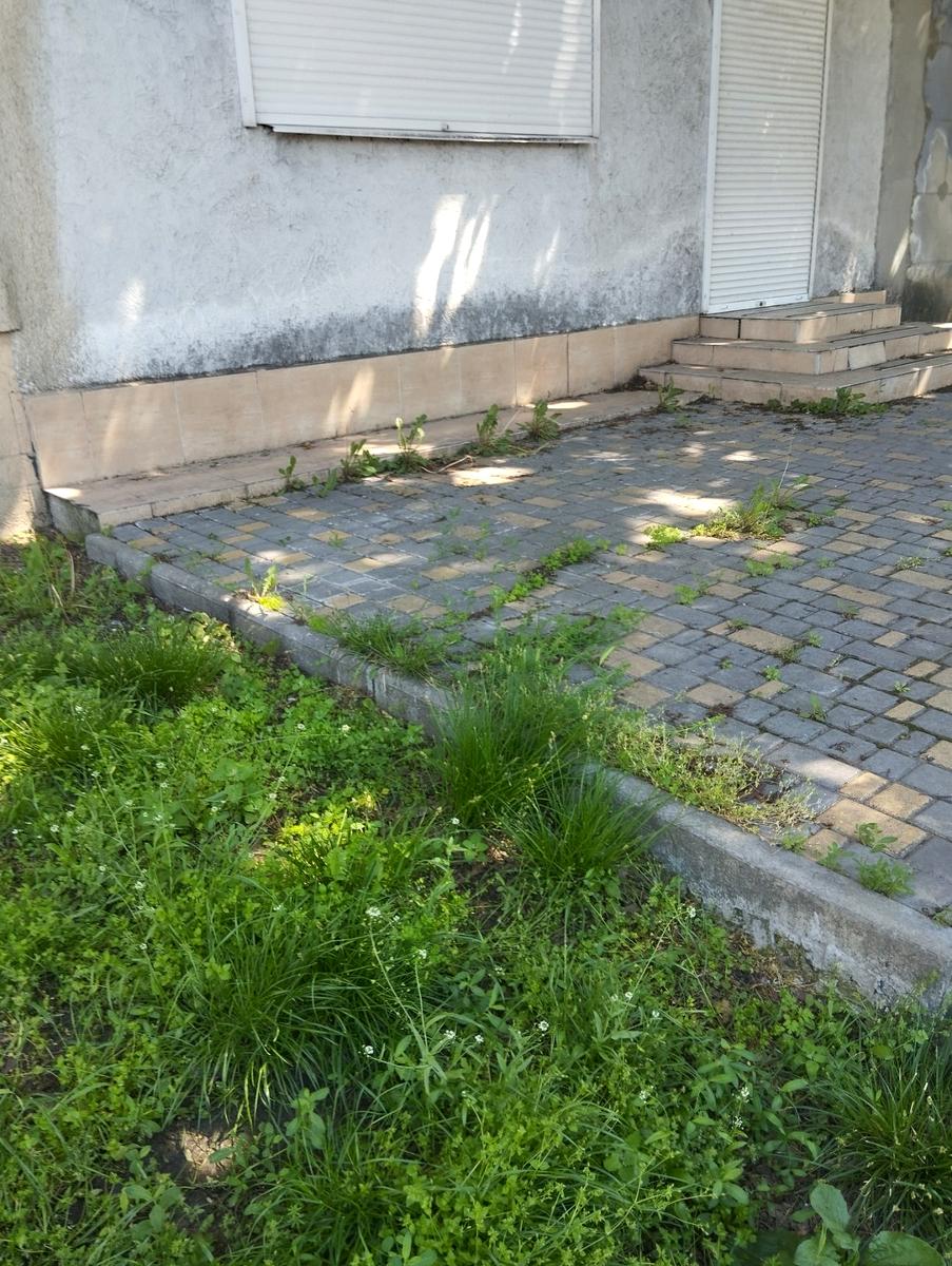 1865989284971301
