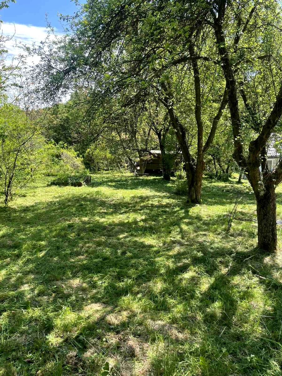 1866006445283161