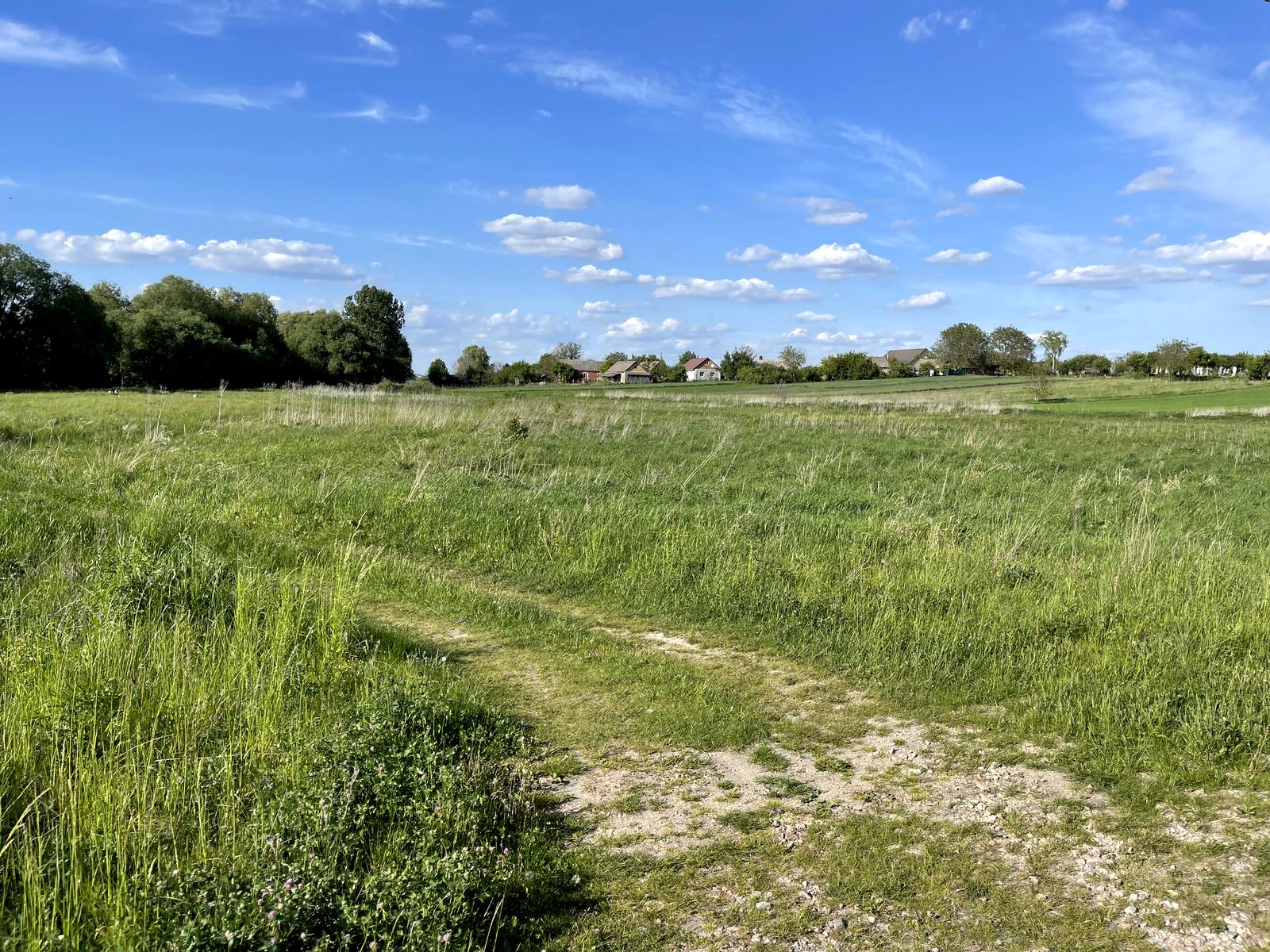 1866096839613967