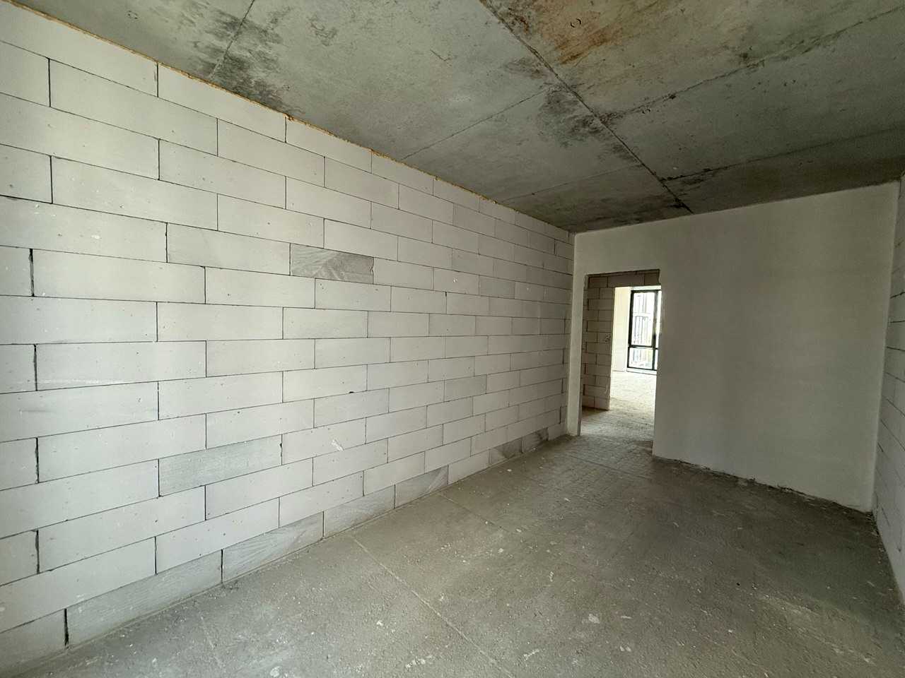 1866148407005557