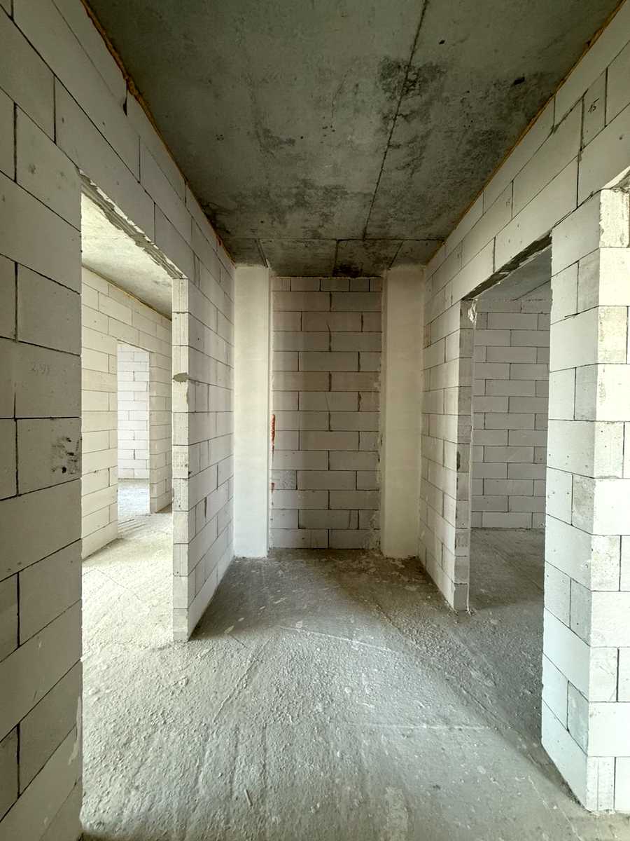 1866148407071279