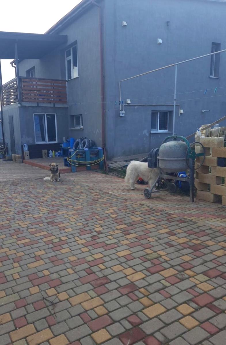 Дом по адресу ул. Экономичная (площадь 180 м²) - imageAlt 7 Дом по адресу ул. Экономичная (площадь 180 м²) - Atlanta.ua - imageAlt 7
