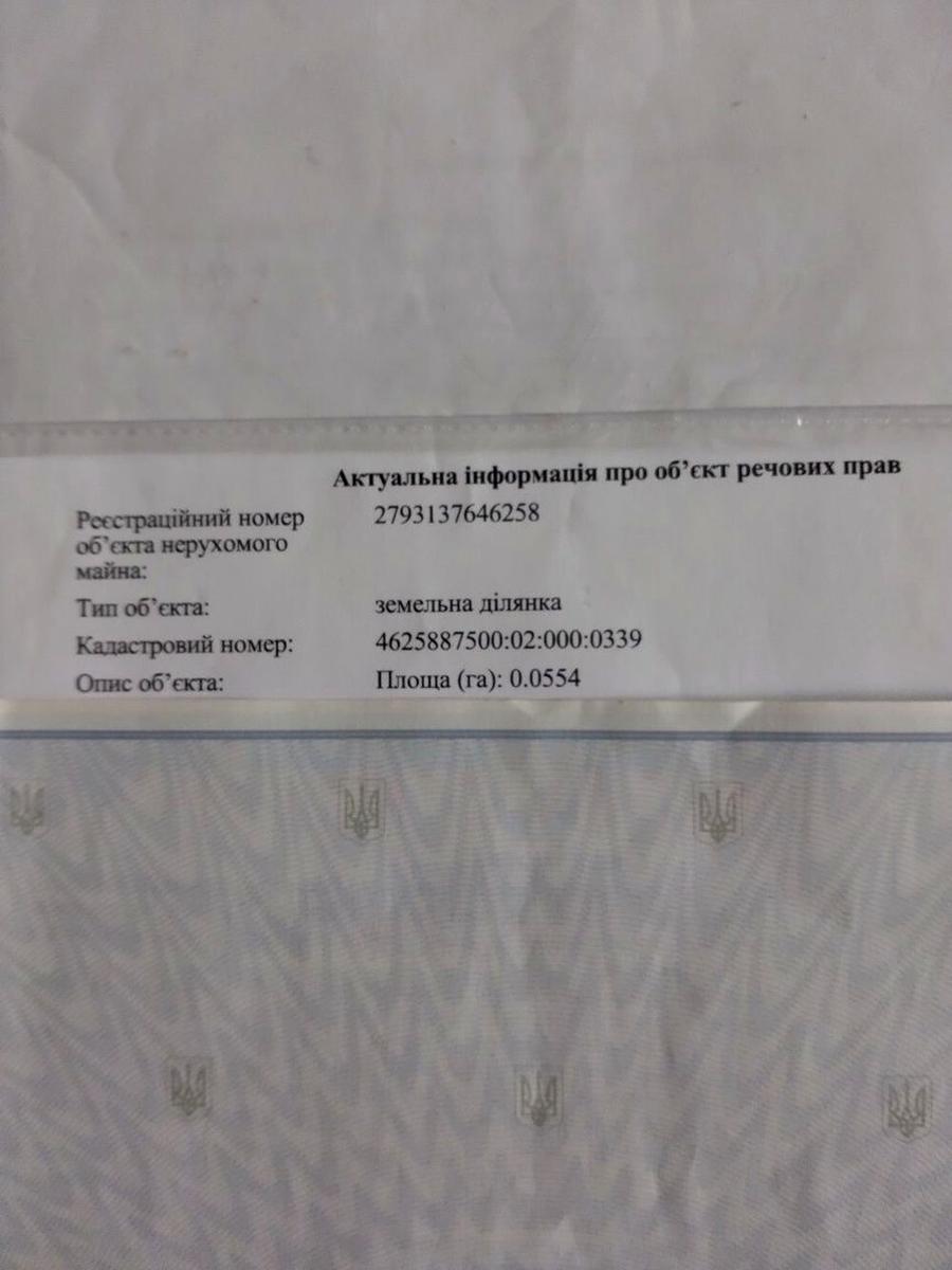 1866165795439522.jpg