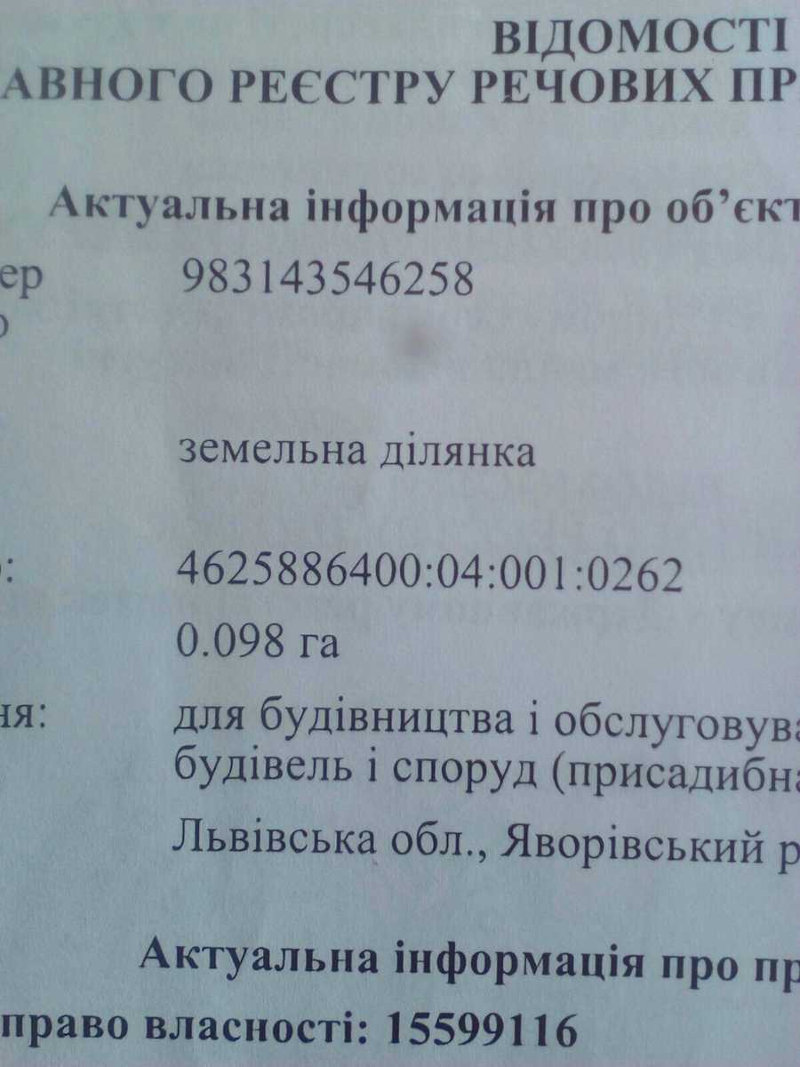 1866241953393597.jpg