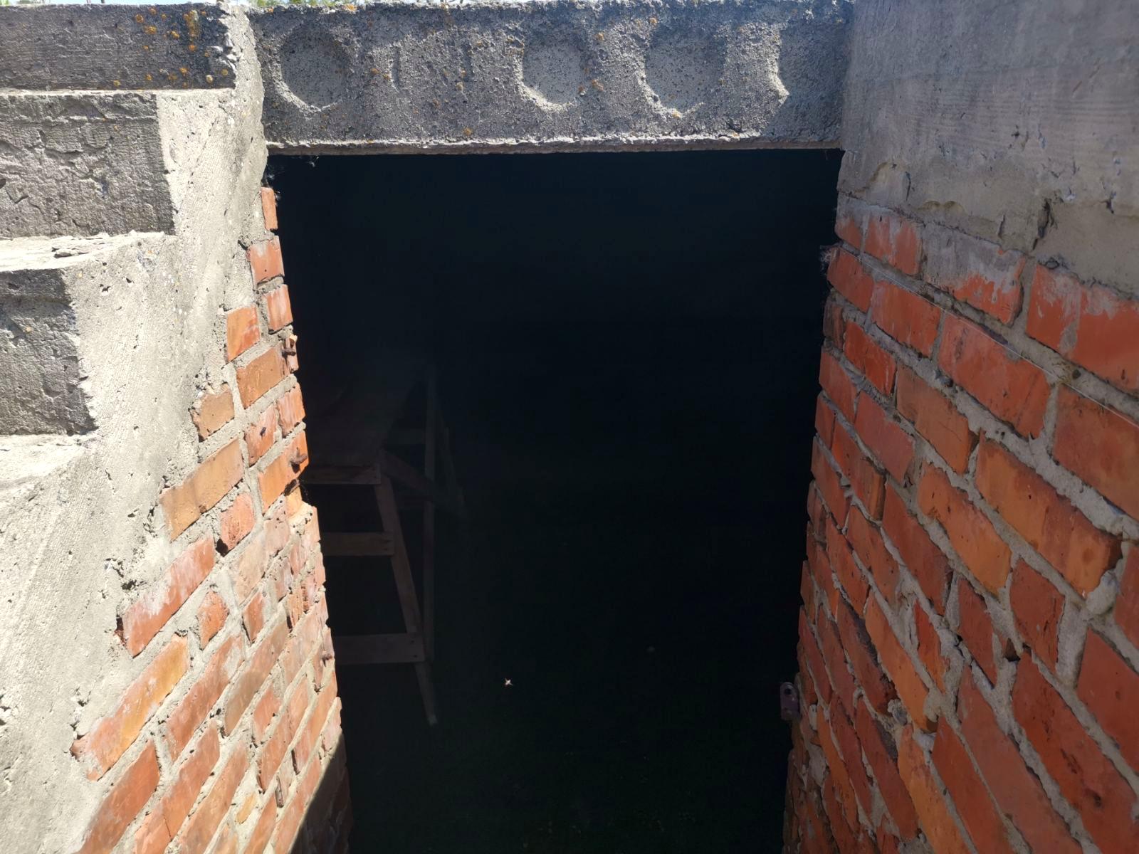 1866331417820262