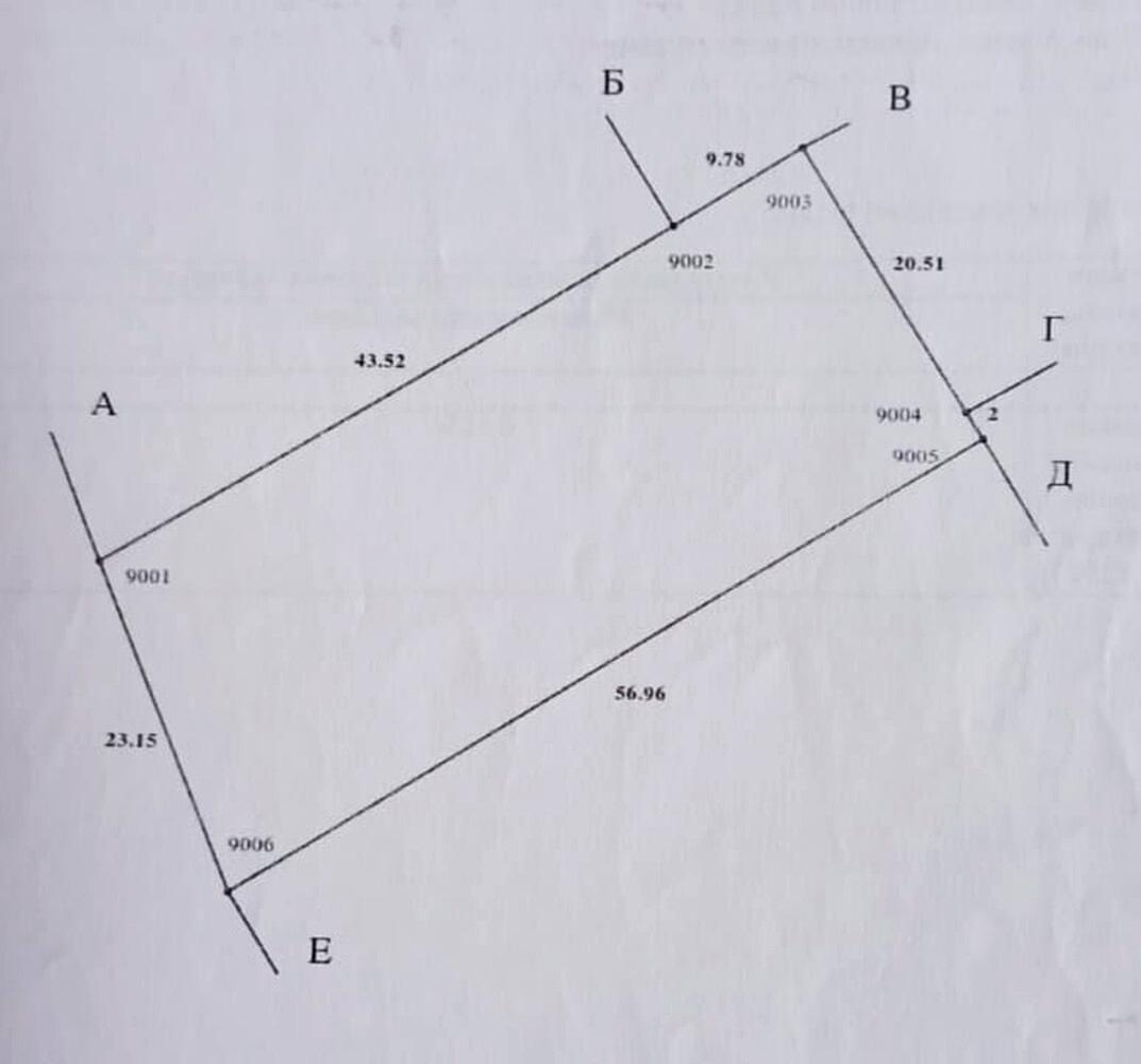 1866334259901848.jpg