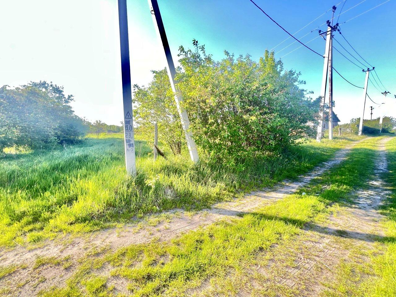 1866334295269939