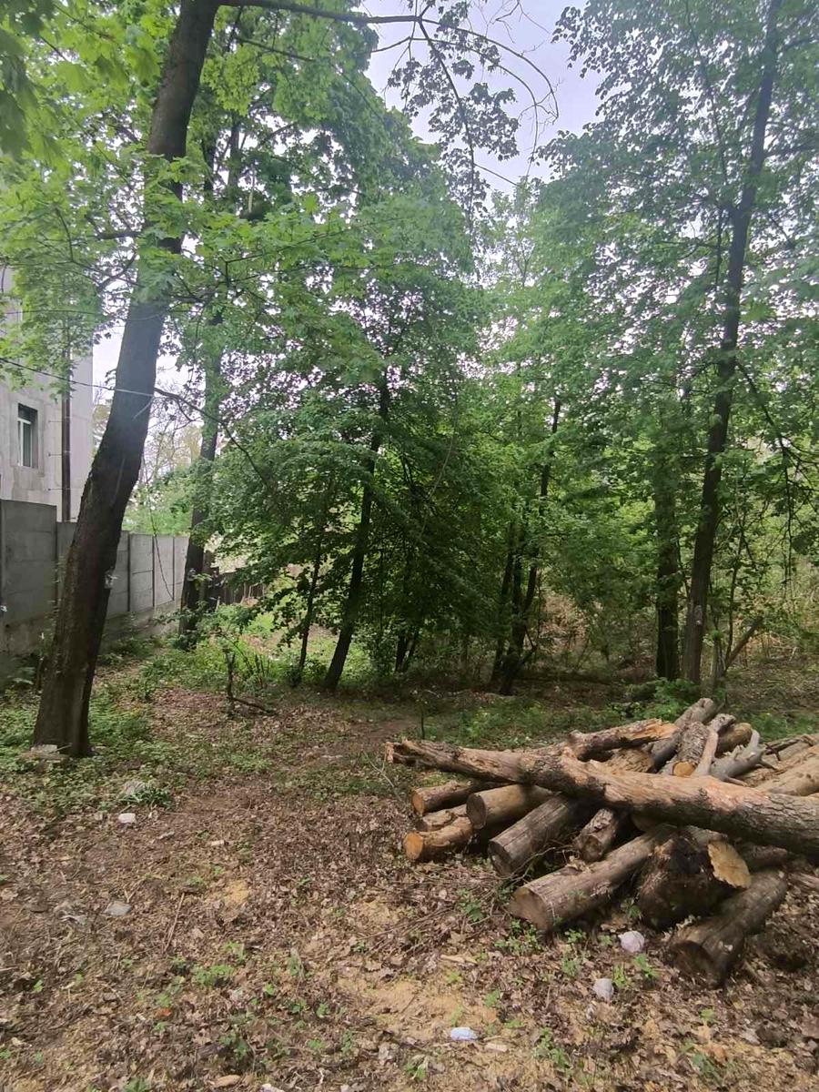 1866336485333141