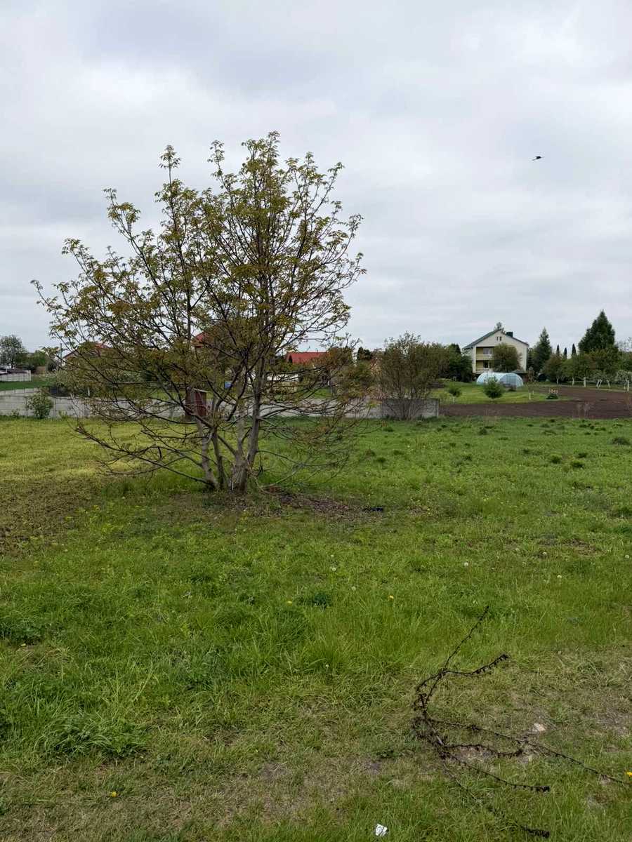 1866340321057997