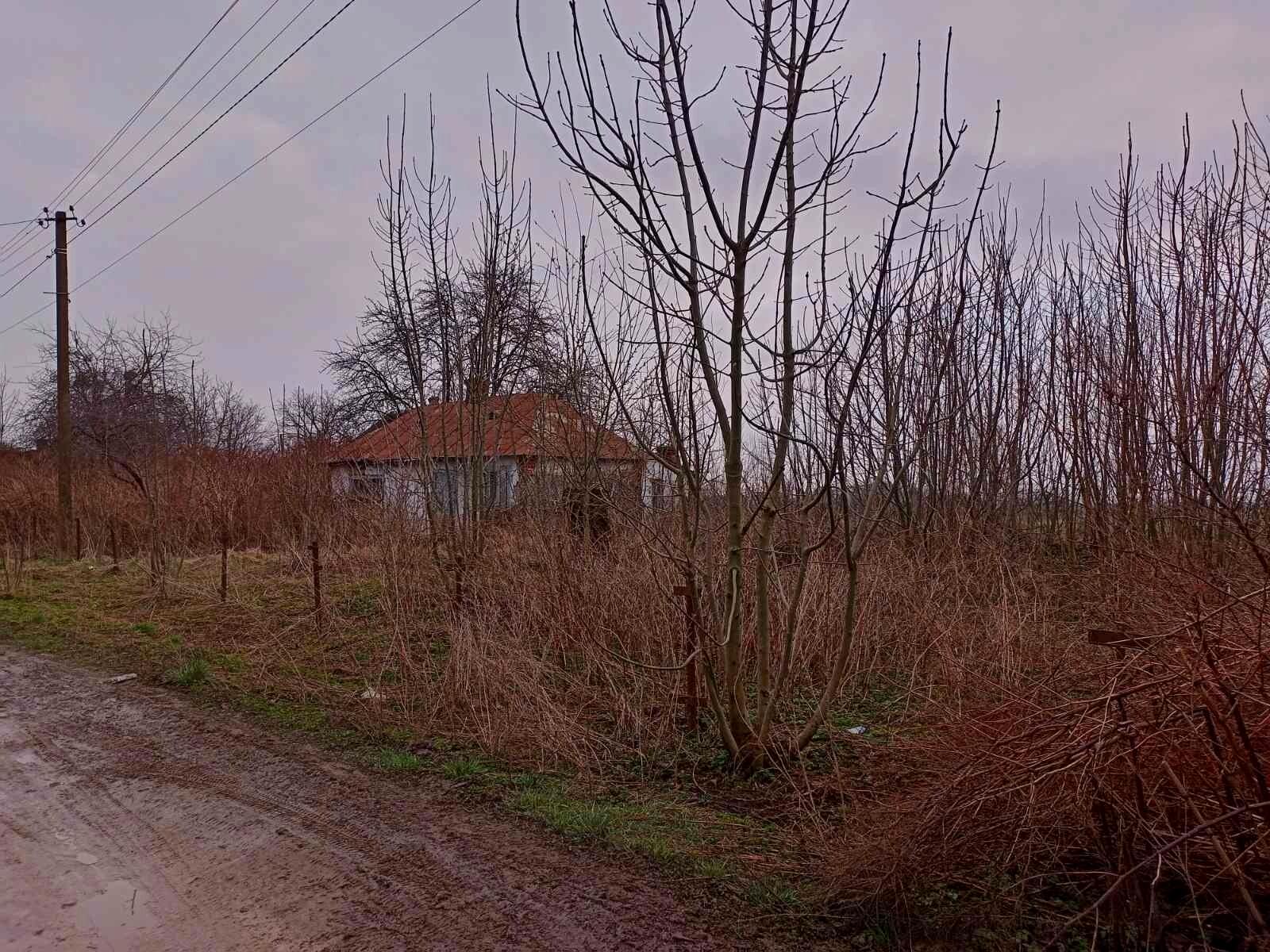 1866340372983785.jpg