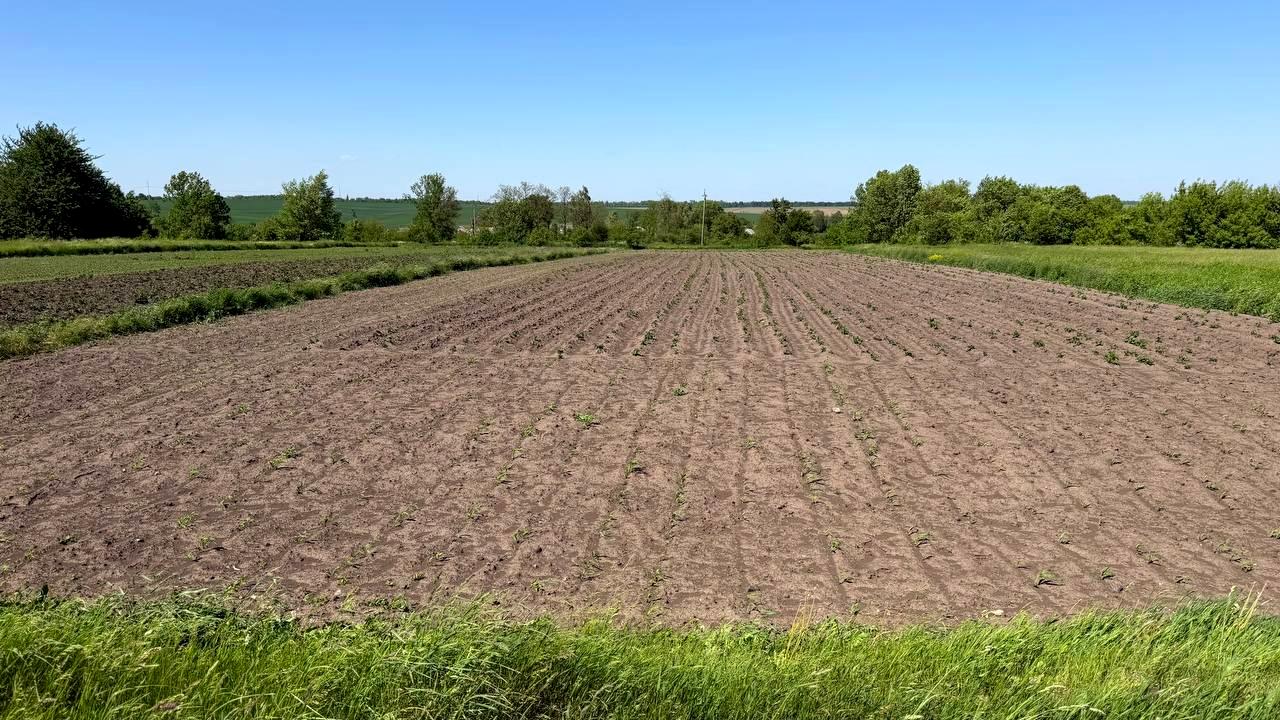 1866341278355765