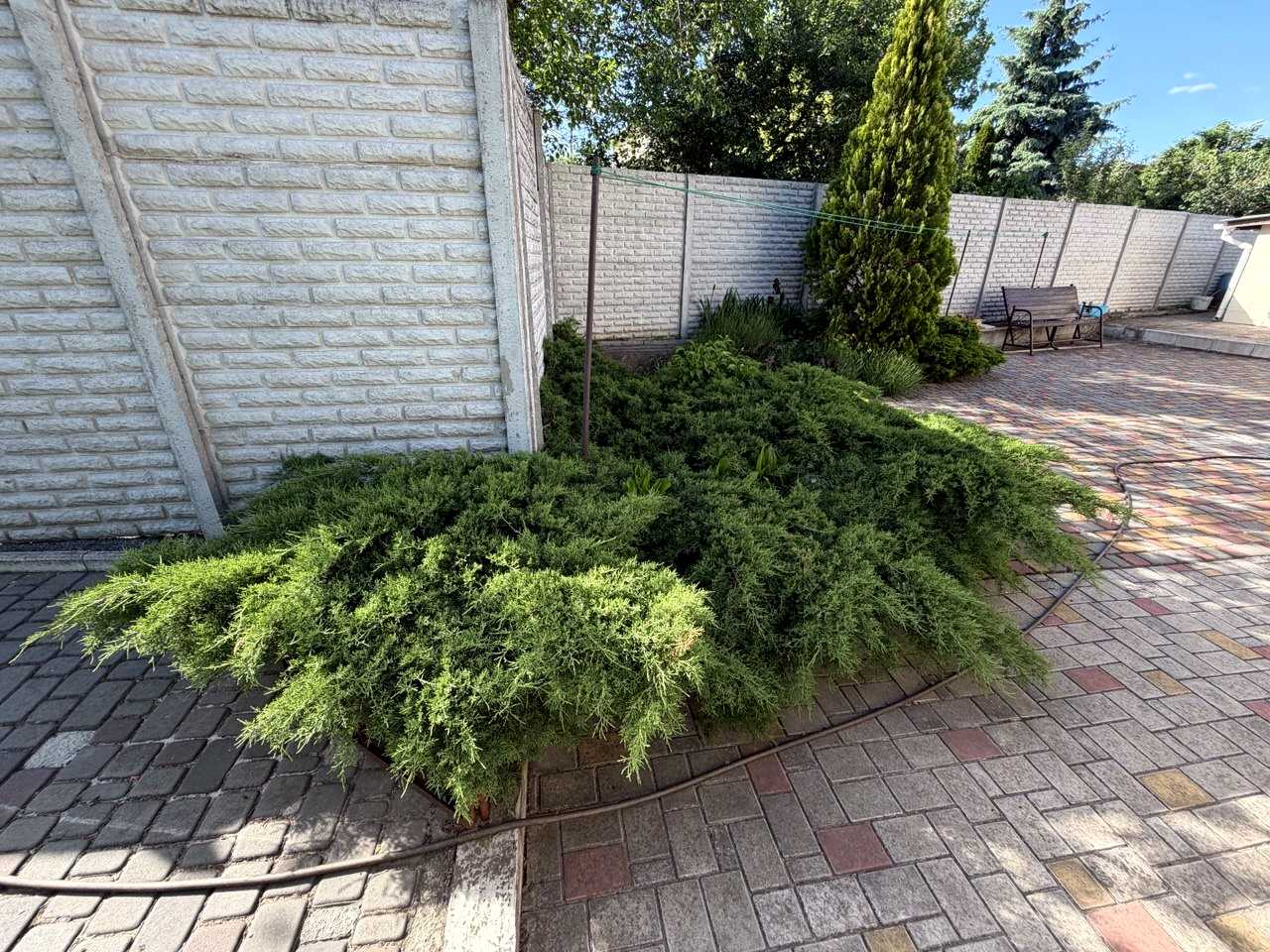 1866348776033120