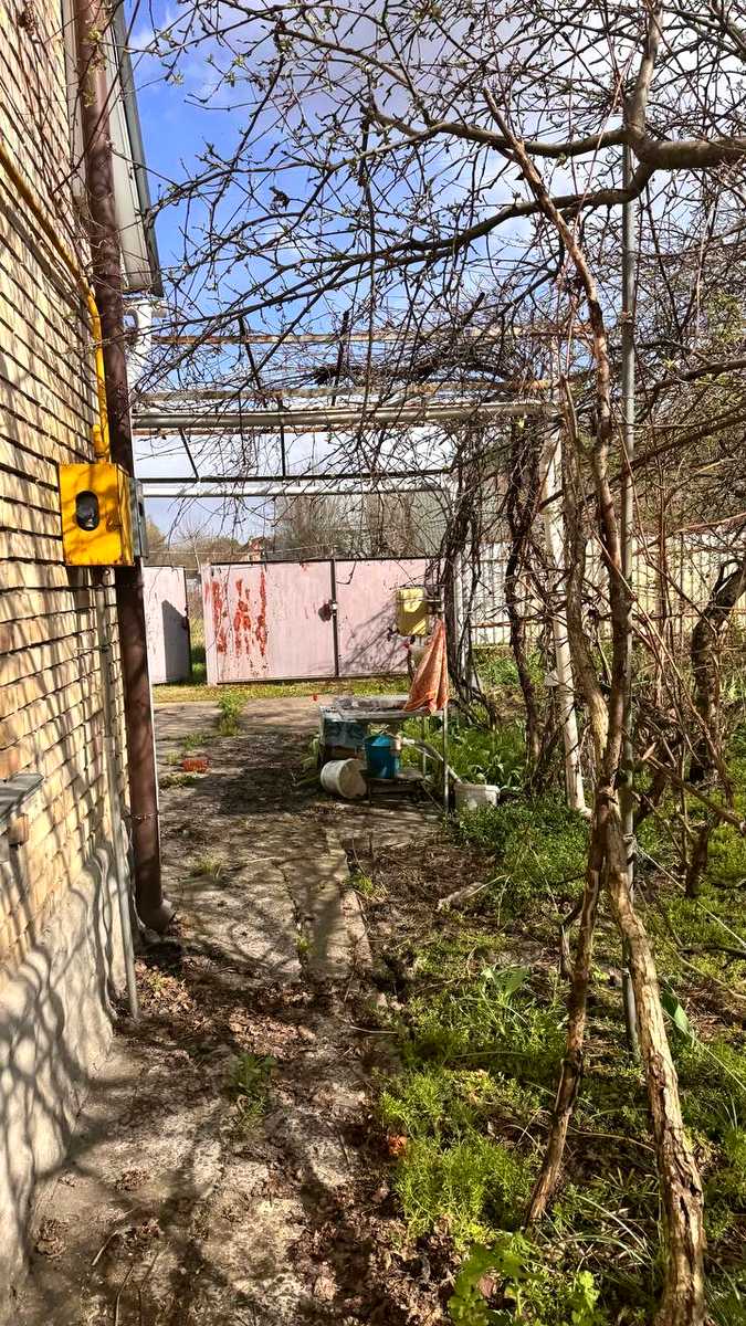 1866364617292239