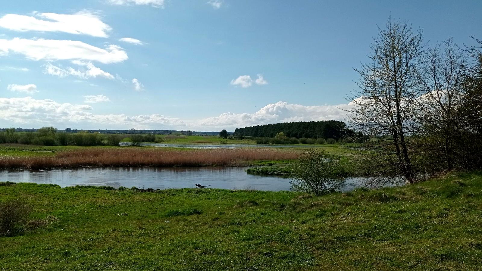 1866422236176094.jpg